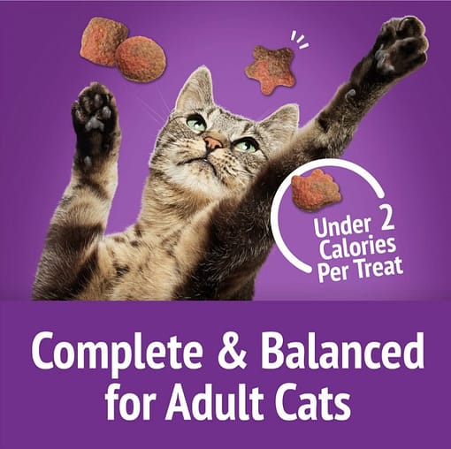 Purina FRISKIES Party Mix Gravy-licious Crunch Turkey & Gravy Cat Treats 60g - Image 2