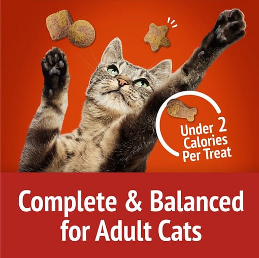 Purina FRISKIES Party Mix Gravy-licious Crunch Chicken & Gravy Cat Treats 60g - Image 2