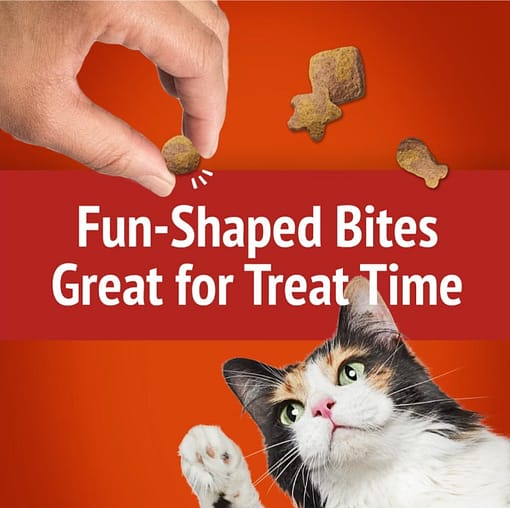 Purina FRISKIES Party Mix Gravy-licious Crunch Chicken & Gravy Cat Treats 60g - Image 3