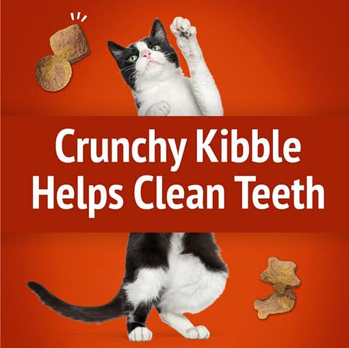 Purina FRISKIES Party Mix Original Crunch Cat Treats 60g - Image 5
