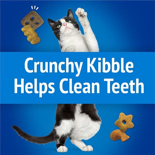 Purina FRISKIES Party Mix Beachside Crunch Cat Treats 60g - Image 5
