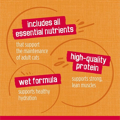 Purina FRISKIES Chicken Fillet Wet Cat Food 156g - Image 7