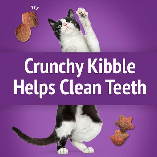 Purina FRISKIES Party Mix Gravy-licious Crunch Turkey & Gravy Cat Treats 60g - Image 4