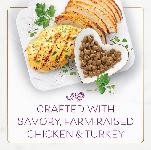 Purina Fancy Feast Chicken & Turkey Gourmet Dry Cat Food (2 Sizes) - Image 3