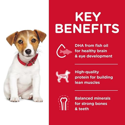 Hill's Science Diet Puppy Small Bites Chicken & Barley Recipe Dog Food (2 Sizes) - Image 4