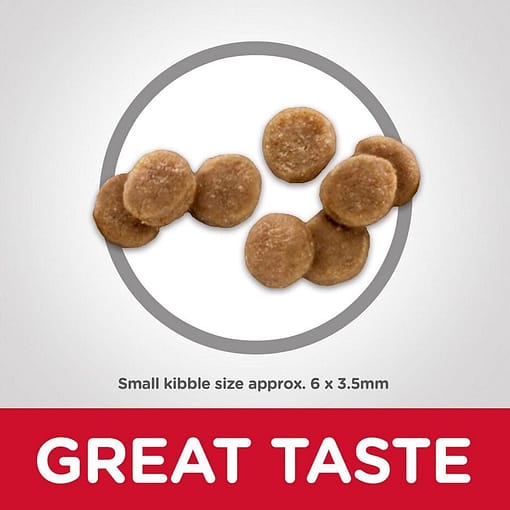 Hill's Science Diet Kitten Healthy Development Chicken Recipe (2 Sizes) - Image 7