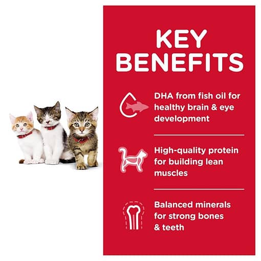 Hill's Science Diet Kitten Healthy Development Chicken Recipe (2 Sizes) - Image 4