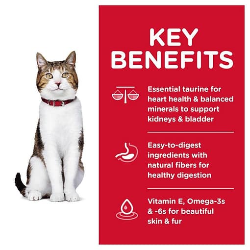 Hill's Science Diet Feline Adult 7+ Chicken Recipe Dry Cat Food (3 Sizes) - Image 4