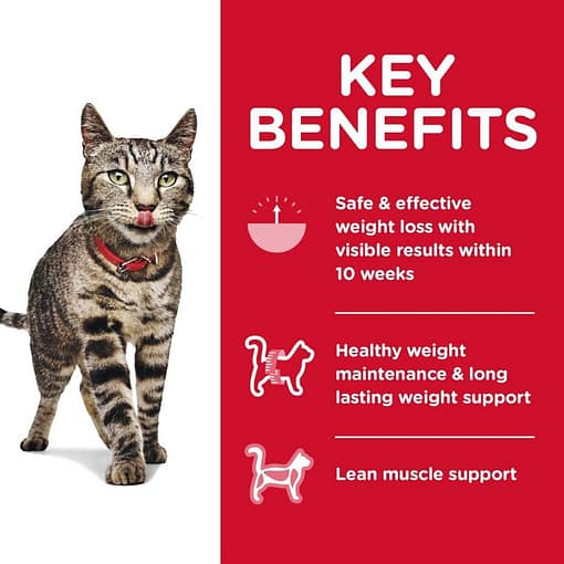 Hill's Science Diet Feline Adult Perfect Weight cat food (2 Sizes) - Image 4