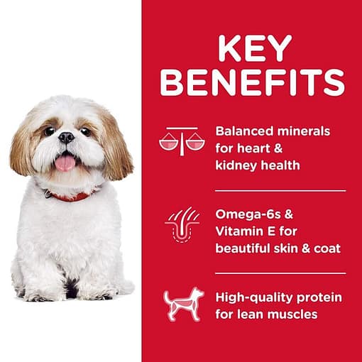 Hill's Science Diet Adult 7+ Small Bites Chicken Meal, Barley & Rice Recipe dog food (2 Sizes) - Image 3