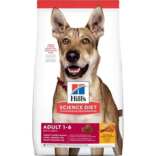 Dog Food CSV Test