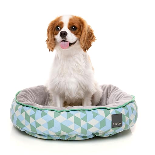 Peridot Reversible Bed