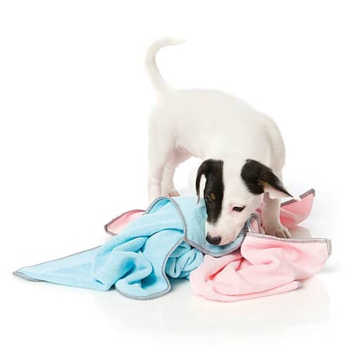 FuzzYard Pink With Grey Trim Microfibre Drying Towel For Puppies
