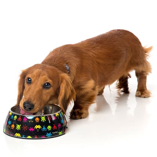 FuzzYard Easy Feeder Pet Bowl - Space Raiders