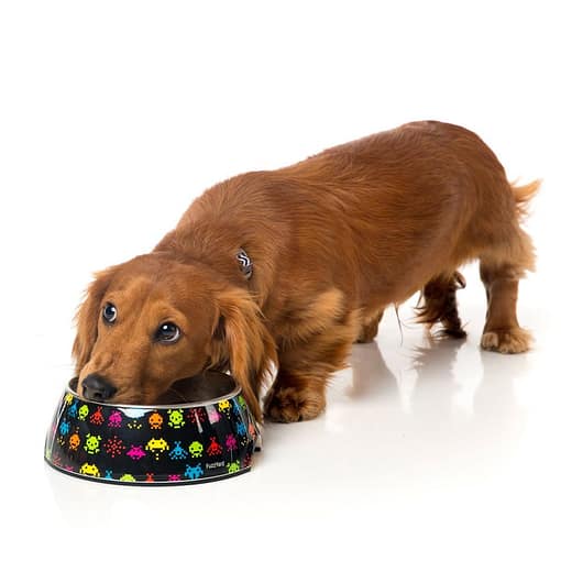 FuzzYard Easy Feeder Pet Bowl - Space Raiders