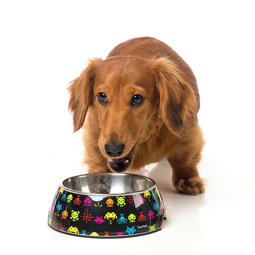 FuzzYard Easy Feeder Pet Bowl - Space Raiders