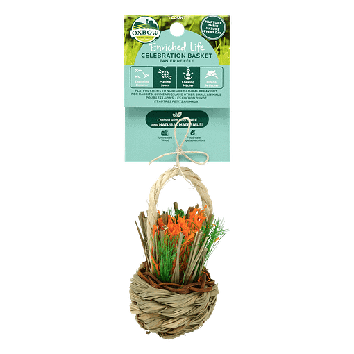 Oxbow Enriched Life - Celebration Basket for Small Animals