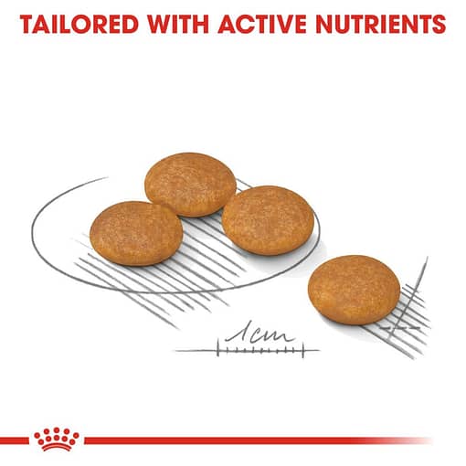 Royal Canin Mini Dermacomfort Dry Dog Food (3 Sizes) - Image 2