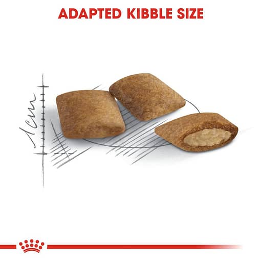 Royal Canin Sterilised +12(Ageing) Dry Cat Food (2 Sizes) - Image 2