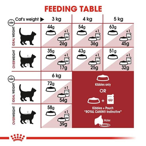 Royal Canin Fit 32 Dry Cat Food (4 Sizes) - Image 3
