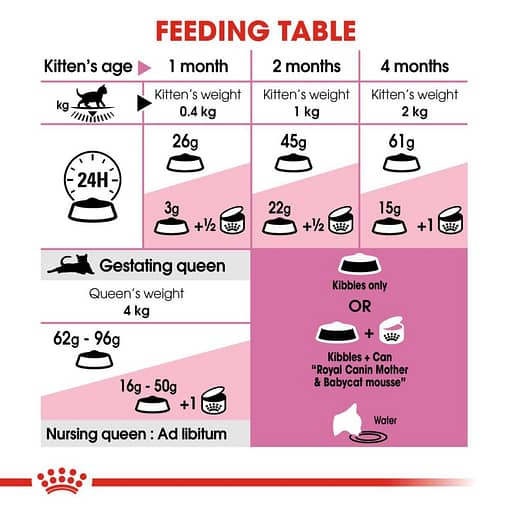 Royal Canin Mother & Baby Cat Dry Cat Food (3 Sizes) - Image 3