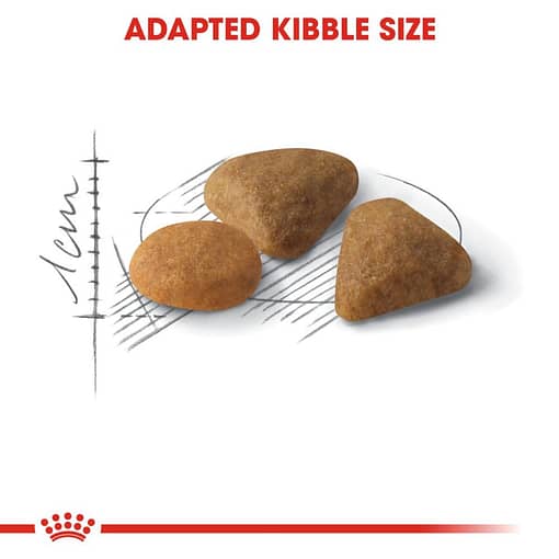 Royal Canin Exigent Savour Dry Cat Food (2 Sizes) - Image 2