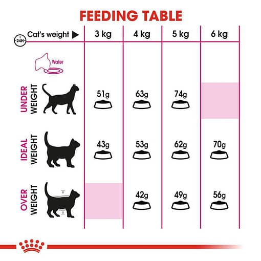 Royal Canin Exigent Savour Dry Cat Food (2 Sizes) - Image 3