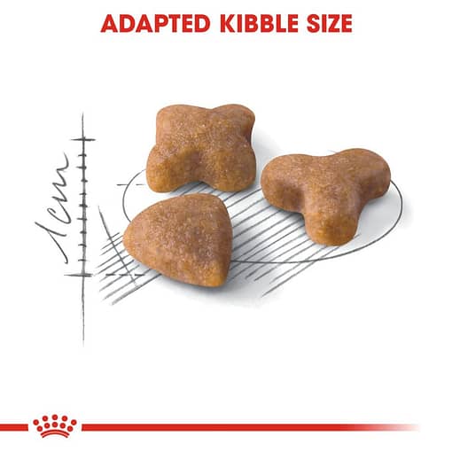 Royal Canin Sensible 33 Dry Cat Food (3 Sizes) - Image 2