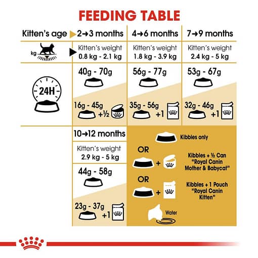 Royal Canin British Shorthair Kitten Dry Cat Food 0.4KG - Image 3