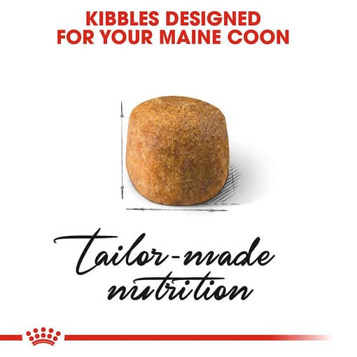 Royal Canin Maine Coon Adult Dry Cat Food 4KG - Image 2