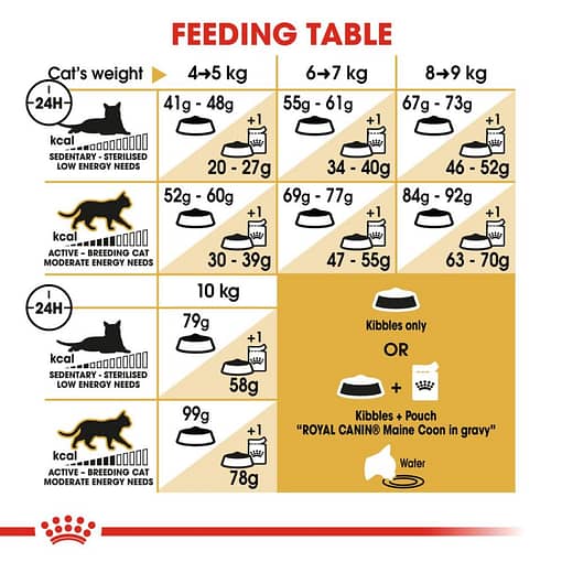 Royal Canin Maine Coon Adult Dry Cat Food 4KG - Image 3