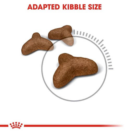 Royal Canin Light Weight Care Dry Cat Food (2 Sizes) - Image 2