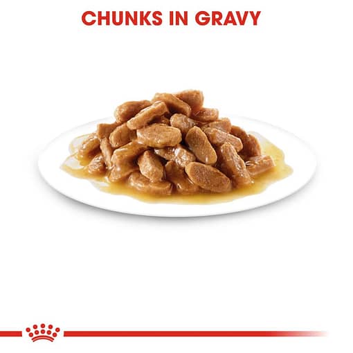 Royal Canin Maxi Puppy pouch Wet Dog Food 140g - Image 3