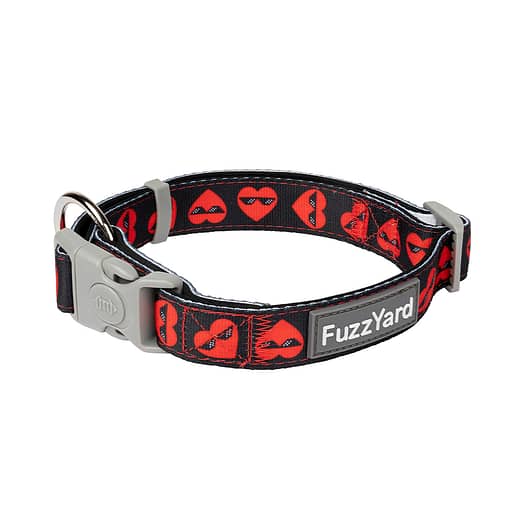 FuzzYard Dog Collar Heart Breaker (3 Sizes)