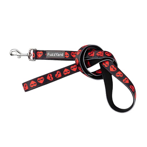 FuzzYard Dog Lead Heart Breaker (2 Sizes)
