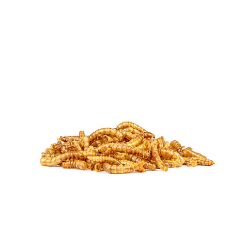 Jolly Dried Meal Worms Treats for Hamster 60g - Image 3