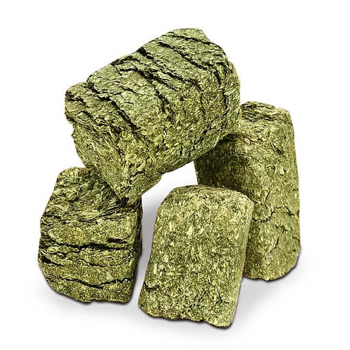 Mr Hay TruFibre Timothy Hay Cube for Small Animals 500g - Image 2