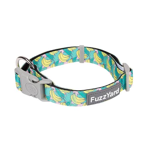 FuzzYard Dog Collar - Bananarama (3 Sizes)