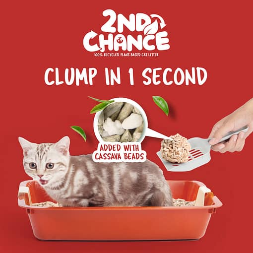 Kit Cat 2nd Chance 100% Recycled Plant-Based Clumping Cat Litter - Black Tea Leaves (2.5KG) - Image 4