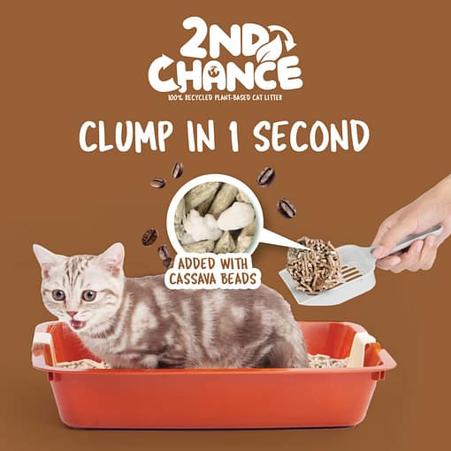 Kit Cat 2nd Chance 100% Recycled Plant-Based Clumping Cat Litter - Coffee Beans (2.5KG) - Image 3