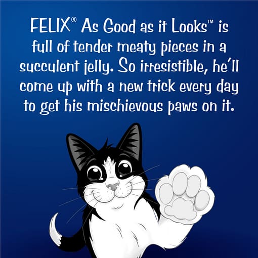 Purina FELIX Adult Mackerel in Jelly Wet Cat Food 85g - Image 2