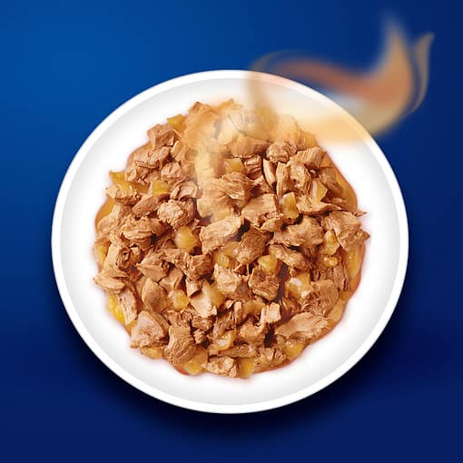 Purina FELIX Kitten Chicken in Jelly Wet Cat Food 85g - Image 3