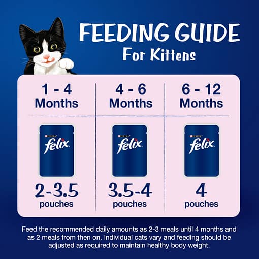 Purina FELIX Kitten Chicken in Jelly Wet Cat Food 85g - Image 6