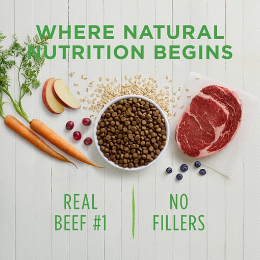 Instinct Be Natural Real Beef & Barley Recipe Dry Dog Food 25lb - Image 3