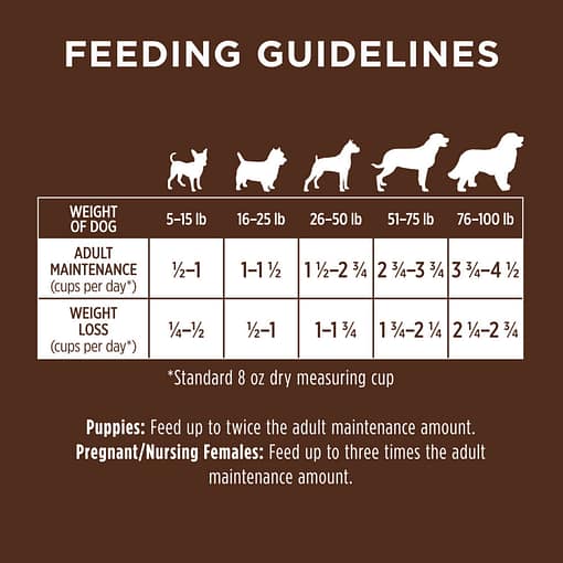 Instinct Be Natural Real Beef & Barley Recipe Dry Dog Food 25lb - Image 8