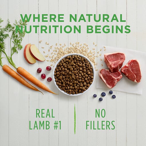 Instinct Be Natural Real Lamb & Oatmeal Recipe Dry Dog Food 24lb - Image 3