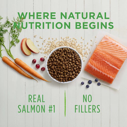 Instinct Be Natural Real Salmon & Brown Rice Recipe Dry Dog Food 24 lb - Image 3