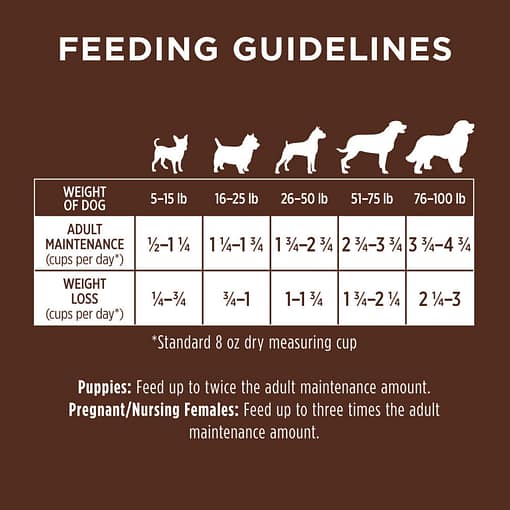 Instinct Be Natural Real Salmon & Brown Rice Recipe Dry Dog Food 24 lb - Image 8