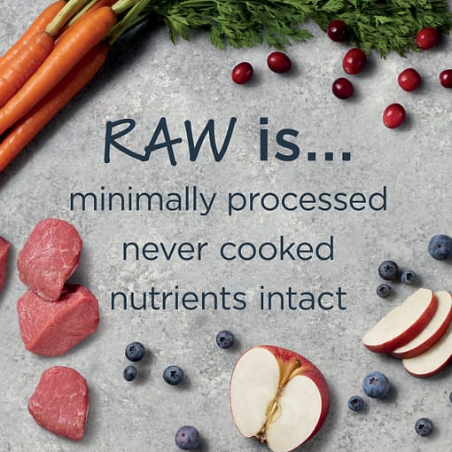 Instinct Raw Boost Whole Grain Real Lamb & Oatmeal Recipe Dry Dog Food 4.5 lb - Image 6