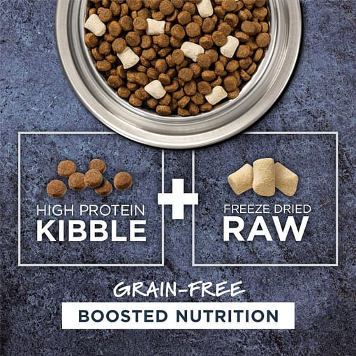 Instinct Raw Boost Grain-Free Recipe with Real Salmon Dry Dog Food 4lb - Image 3